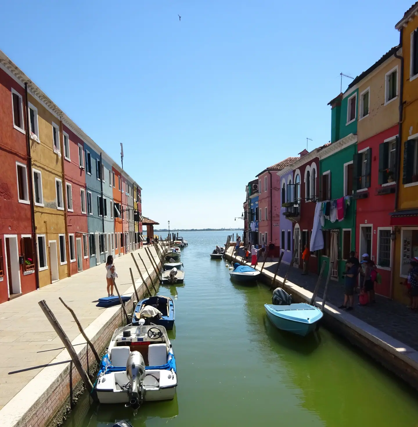 Sony Burano w/ Distro Plate and Cage